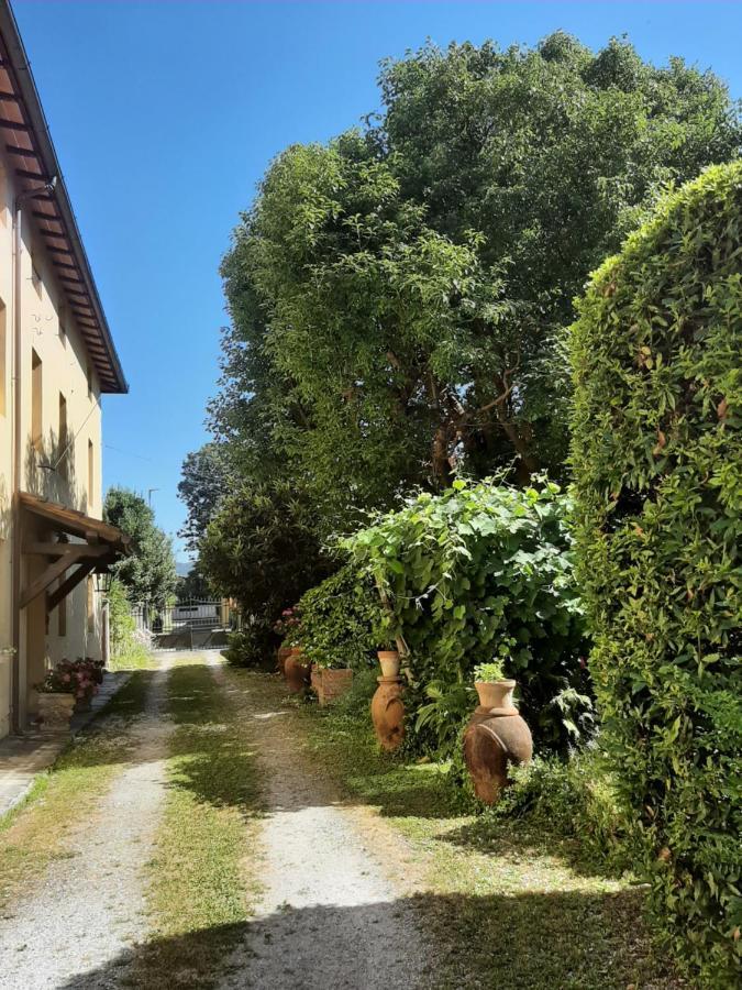 Antica Fattoria La Verdina Camaiore Exterior foto