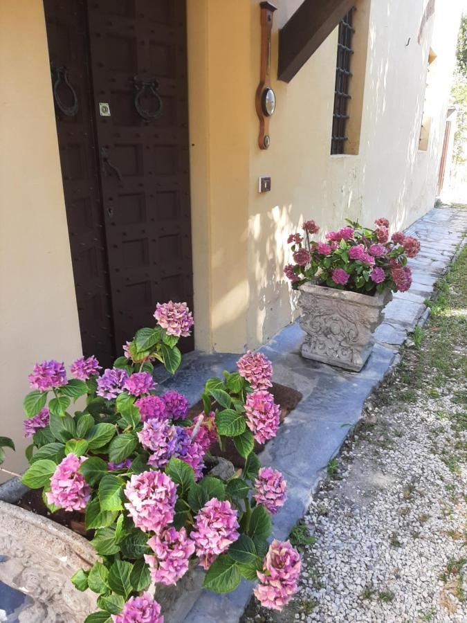 Antica Fattoria La Verdina Camaiore Exterior foto