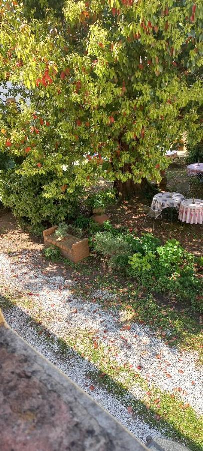 Antica Fattoria La Verdina Camaiore Exterior foto